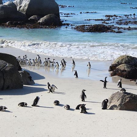 Boulders Beach House Саймонс-Таун Екстер'єр фото